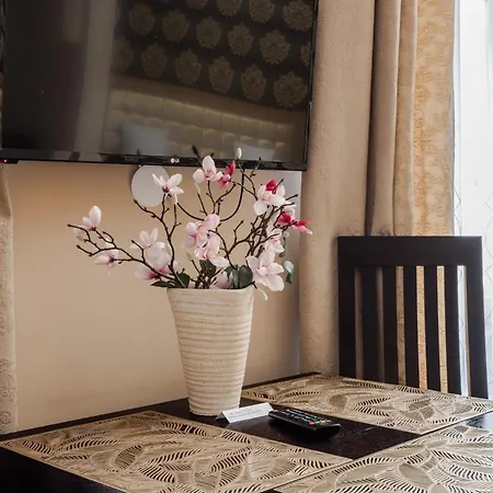 דירה Functional And Comfortable Very Berry In By Renters