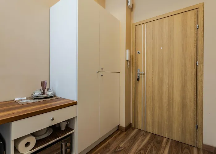 Apartament Functional And Comfortable Very Berry In By Renters *